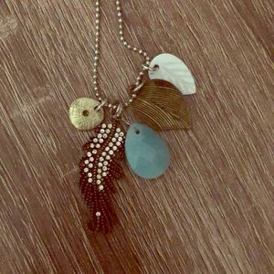 Long, multi charm necklace